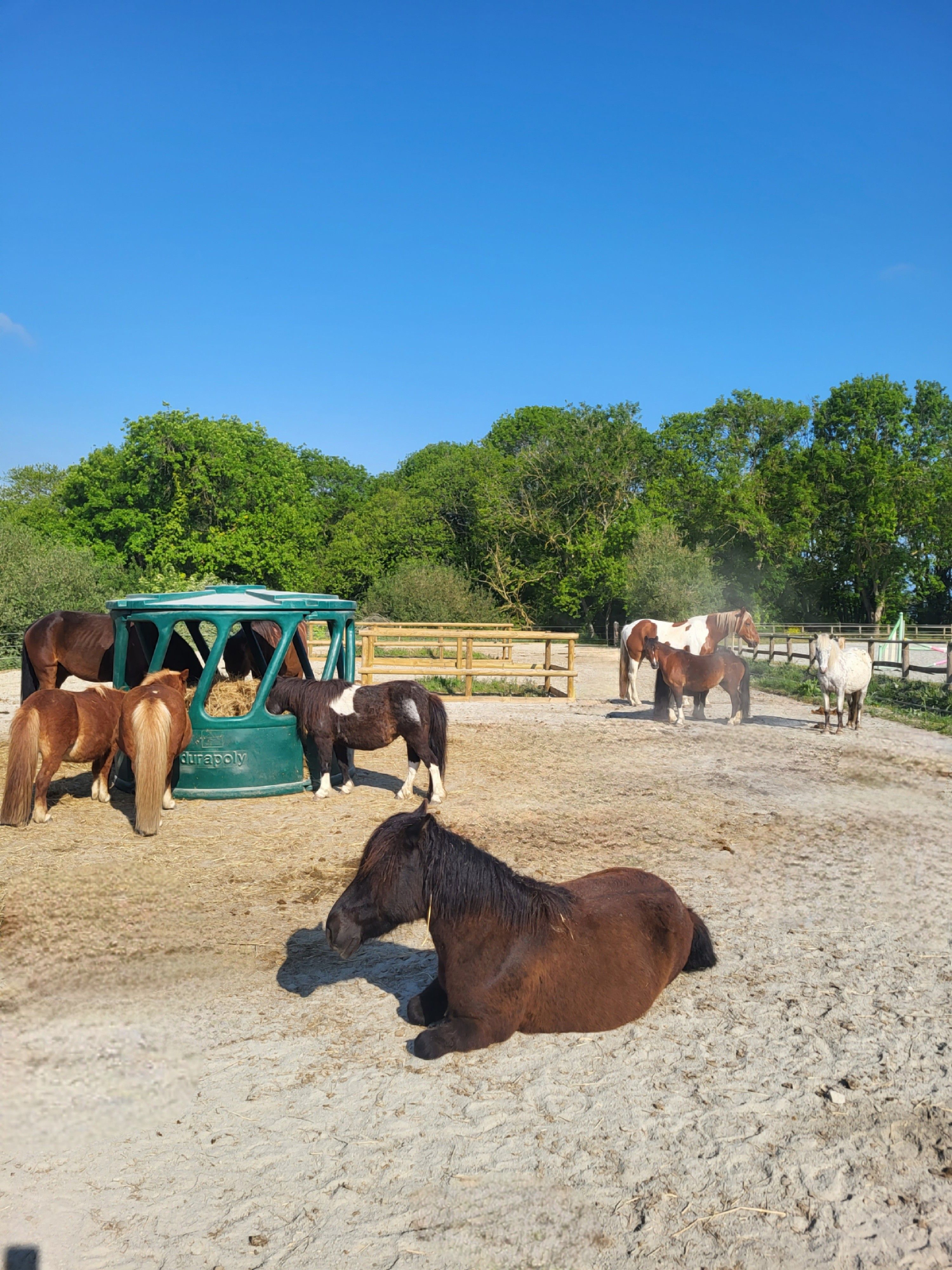 blockValue.ef9f51b7-0b41-4d8b-9f07-be1986d74679.img_alt